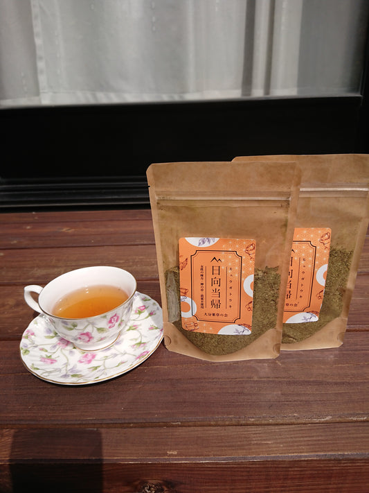 大分県産無農薬栽培  日向当帰茶（日本山人参）   粉末【2袋×50g】