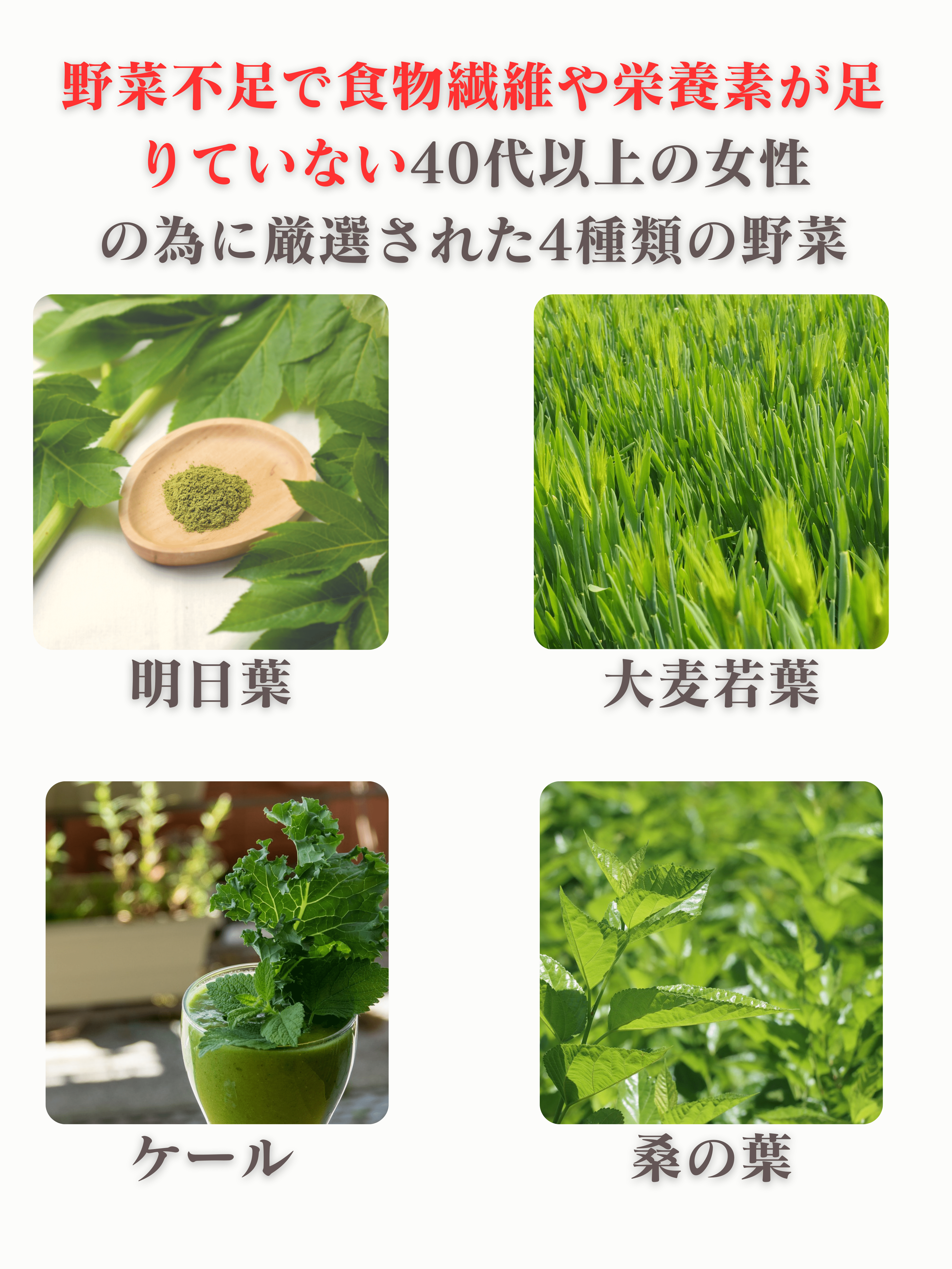 月膳青汁 3g×30包【高麗人参配合】